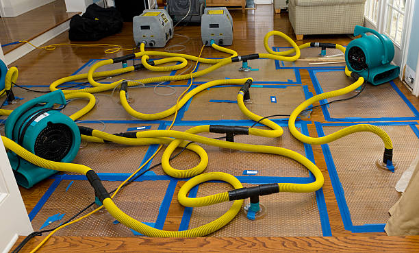 Professional Water Extraction technician working in Olivet, TN